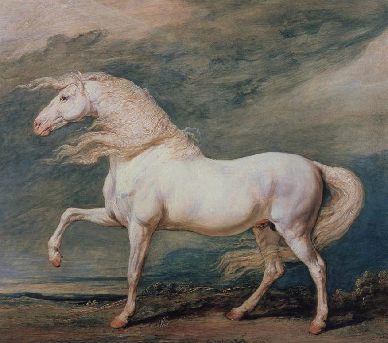 Edward Bower Adonis, King George ill's it Favourite Charger Sweden oil painting art